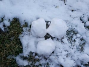 Snowballs