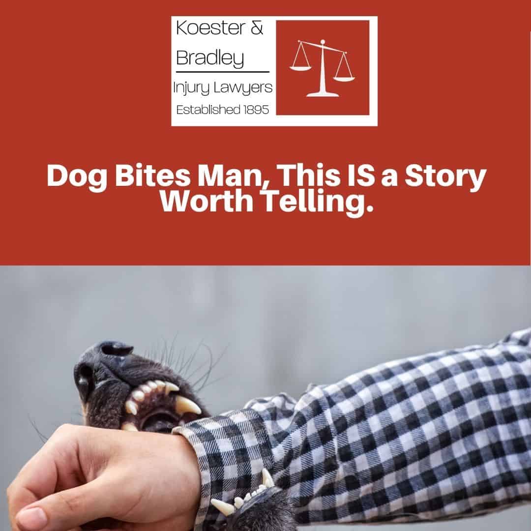 Dog-Bites-Man-This-IS-a-Story-Worth-TellingInstagram-Post.jpg