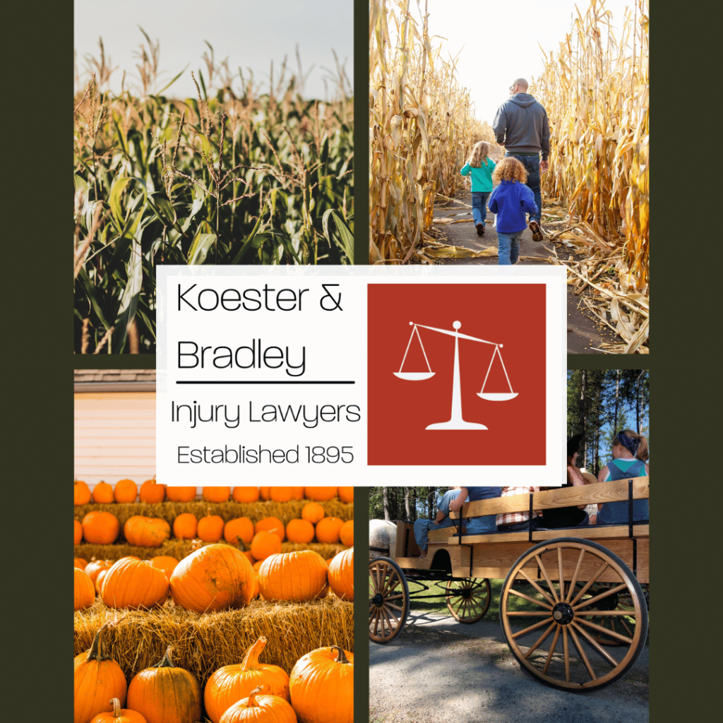 Koester & Bradley Fall Activity Guide